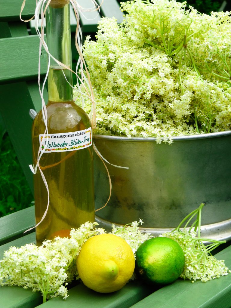 Holunderblütensirup mit Honig - Madam Rote Rübe
