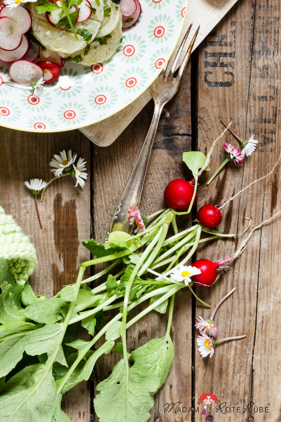 Madam Rote Rübe - Radieschensalat mit Harzer Käse und Gänseblümchen