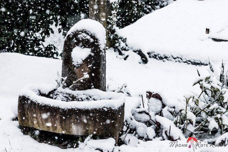 Madam Rote Rübe - Winter