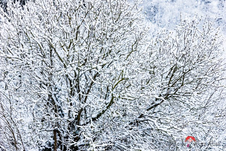 Madam Rote Rübe - Winter