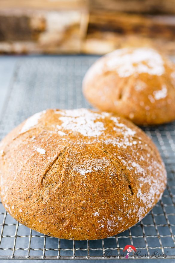 Madam Rote Rübe - Weizenvollkornbrot mit Mohn und Wasserkefir