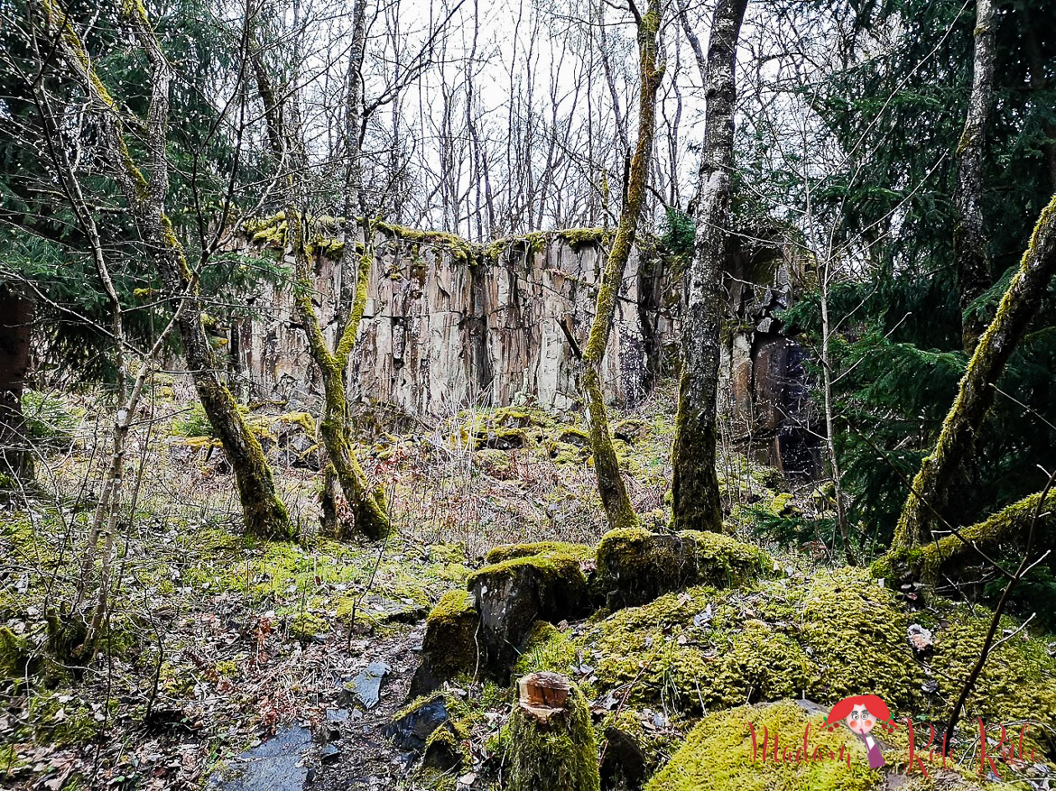 Madam Rote Rübe - Rucksackschmaus | Wandern auf dem Tiefenbachpfad in St. Wendel