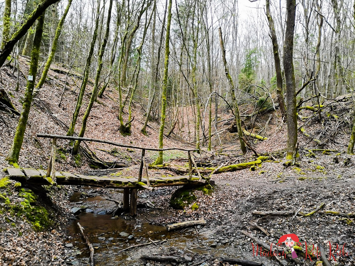 Madam Rote Rübe - Rucksackschmaus | Wandern auf dem Tiefenbachpfad in St. Wendel